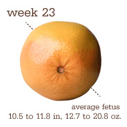 week23fruit