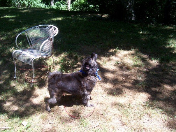 180069_10150100375686692_2303004_n