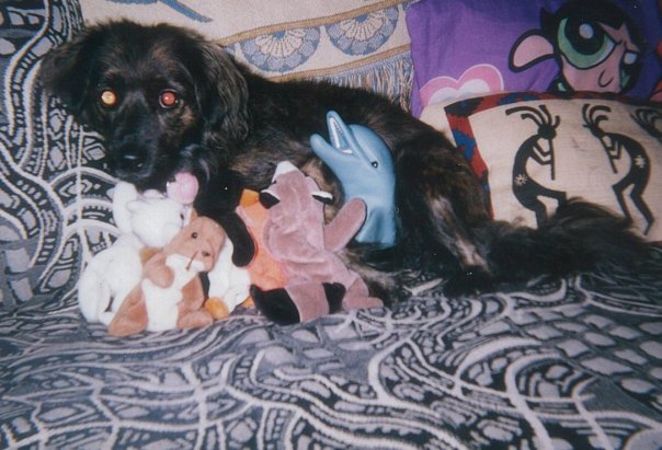 1928706_49087351691_999_n