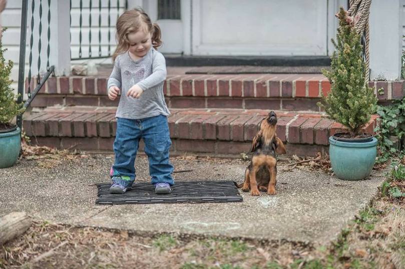 16997660_10155103706271692_7896385413543082081_n