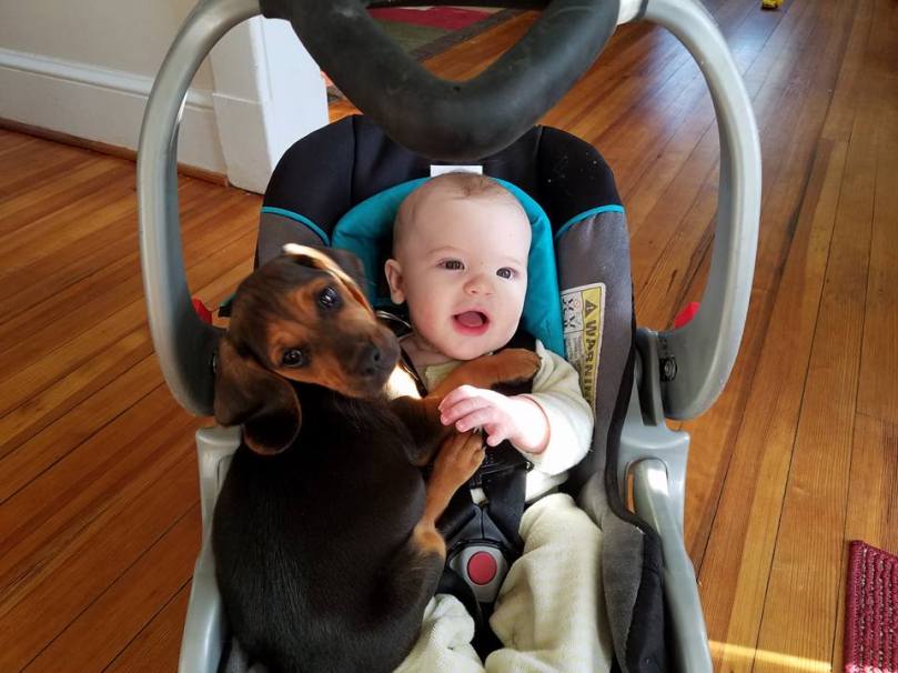 16998757_10155106030626692_8544652966201048238_n