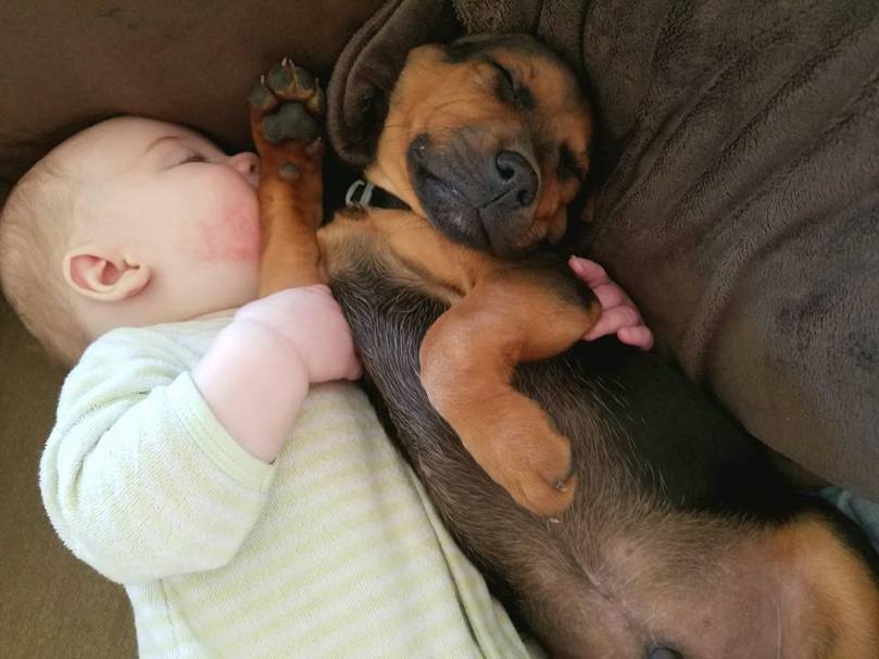 17021890_10155105674676692_2773871234955934256_n