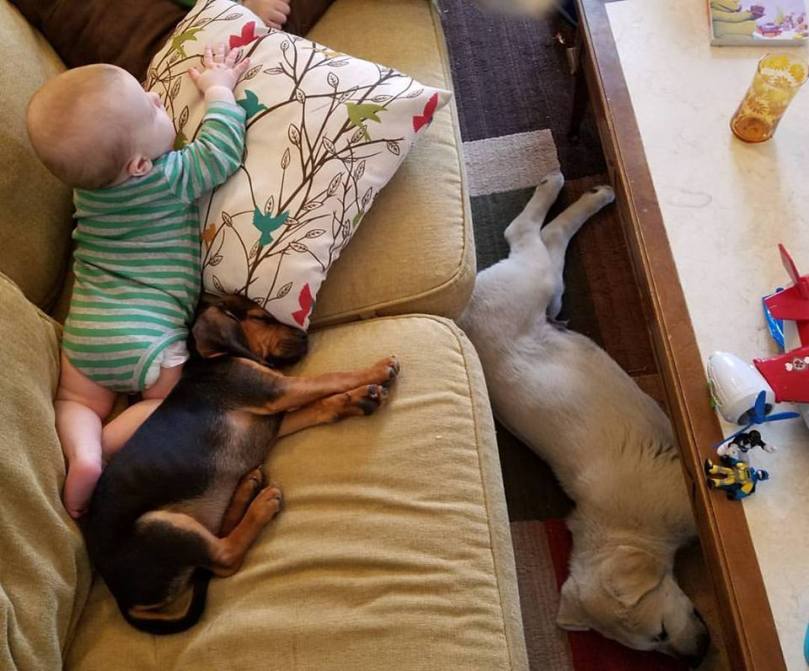 17264932_10155173399656692_8182273575652583112_n