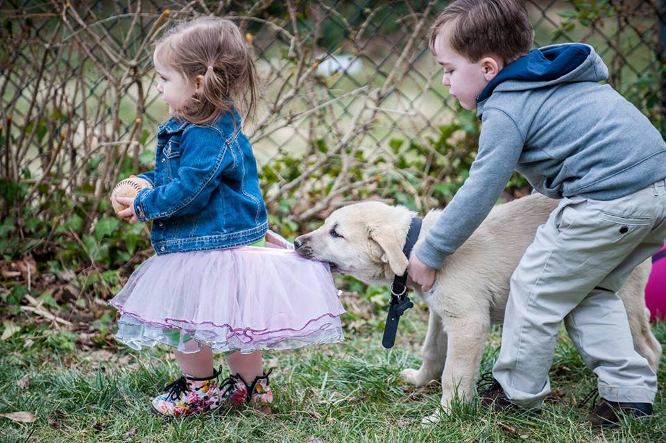 17426309_10155181040501692_9129148628915688791_n